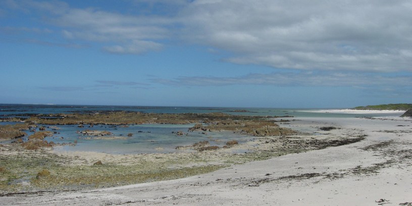 Photo of the ocean